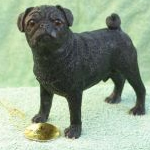 Leonardo Black Pug