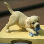 Leonardo golden Labrador Puppy with Plaything