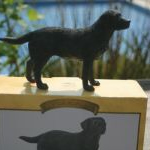 Leonardo Standing Black Labrador