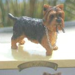 Leonardo Standing Yorkshire Terrier With Lead